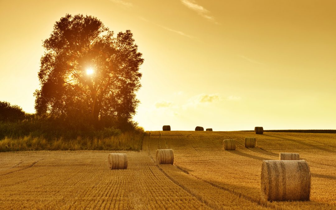 The Archers And The Postnuptial Agreement